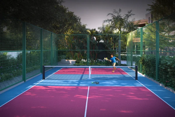 Pickleball Court